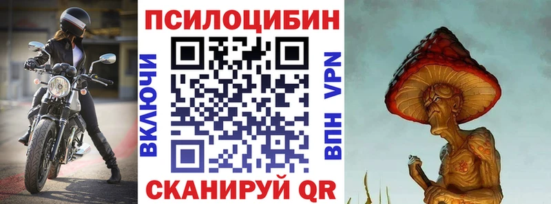 продажа наркотиков  ОМГ ОМГ зеркало  Галлюциногенные грибы Psilocybe  Бирюч 