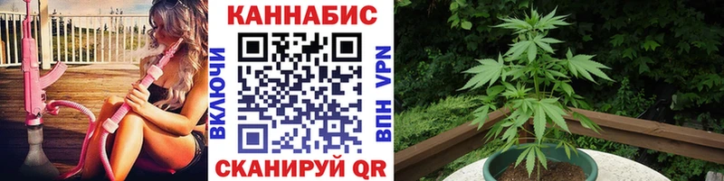 Шишки марихуана THC 21%  Бирюч 